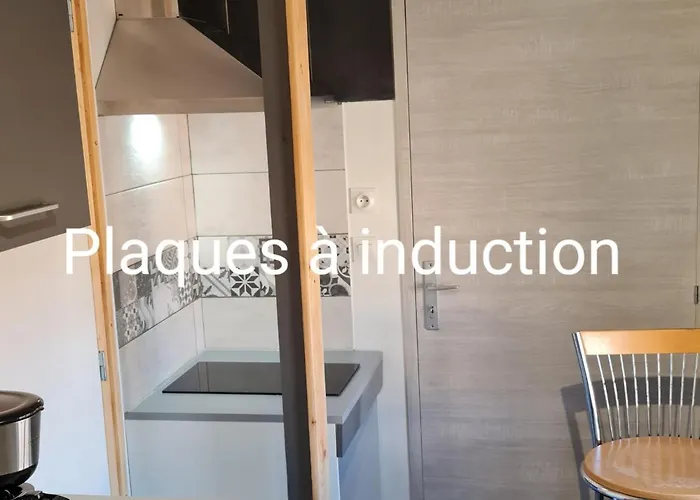 דירה Le De La Republique אגדה